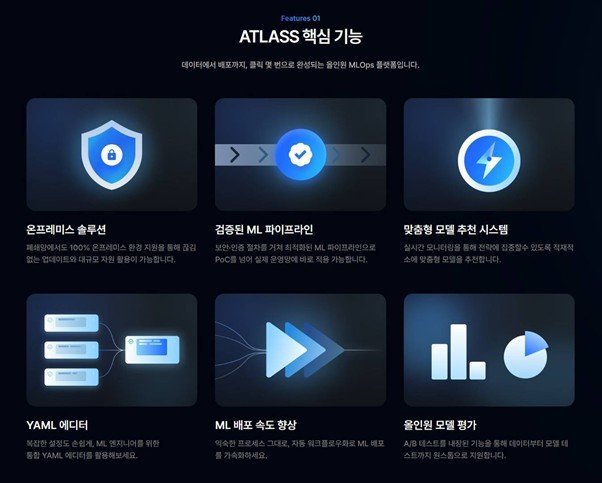 Advisor Lauren focuses on building AI suitable for the customer’s business environment / Source = Advisor Lauren