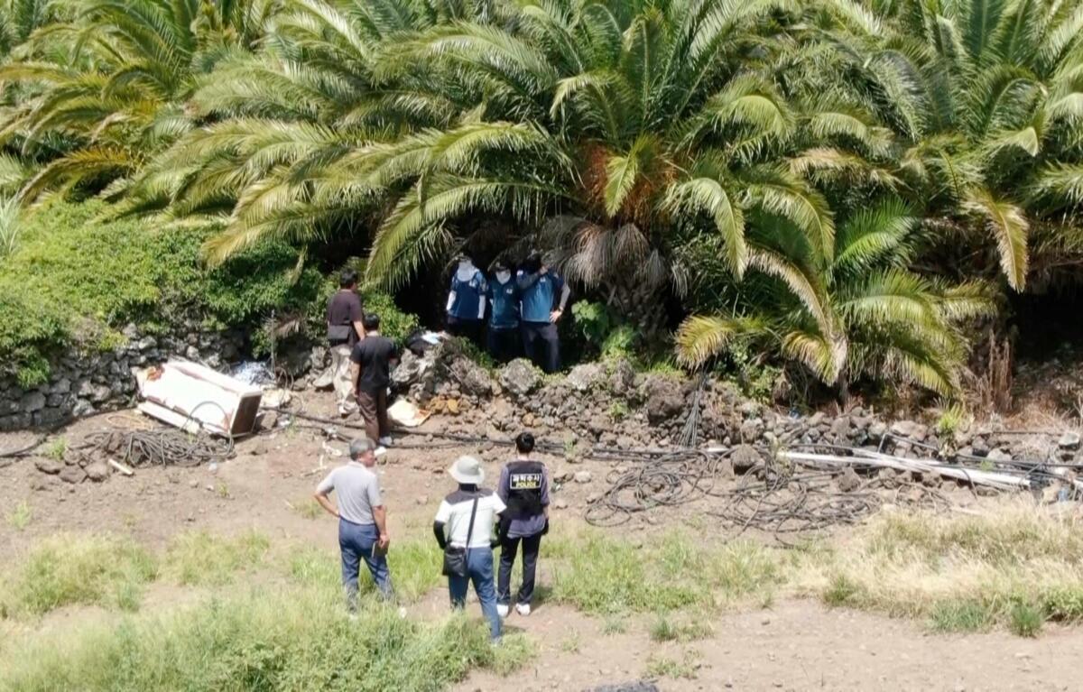 虚偽の終結処理、済州で行方不明の女性が１０４日後に遺体で発見 | 東亜日報