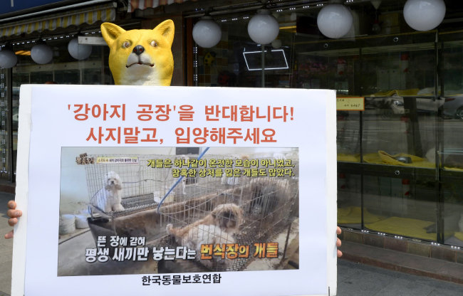 2016년 6월 17일 서울 중구 충무로에서 한국동물보호연합 회원이 강아지 공장 반대 1인 시위를 하고 있다. [뉴스1]