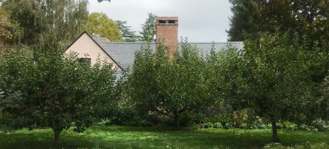 정원에 사과나무가 늘어선 스티브 잡스 집 전경.
