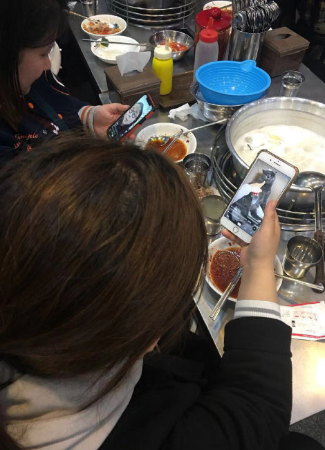 중국인 루모(여·29·진황다오시 산하이관구) 씨가 서울을 여행하면서 식사 장면을 찍어 틱톡에 올리고 있다.