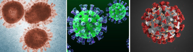 현미경으로 촬영한 사스, 메르스, 
코로나19 병원체(왼쪽부터). [CDC, Wikimedia Commons]