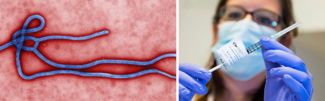 현미경으로 촬영한 에볼라바이러스(왼쪽). 스위스 로잔에 위치한 로잔대학병원에서 한 간호사가 에볼라 실험 백신을 들고 있다. [CDC, AP=뉴시스]