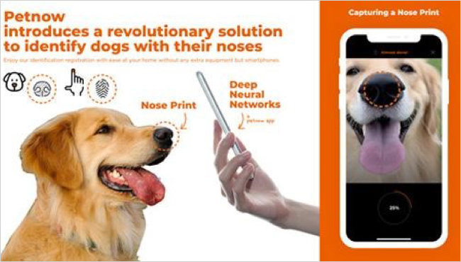 펫나우가 개발한 ‘펫나우’ 앱. AI 기술 기반으로 반려견의 비문(鼻紋·코 무늬, Nose Print)을 인식한다. [펫나우 제공]
