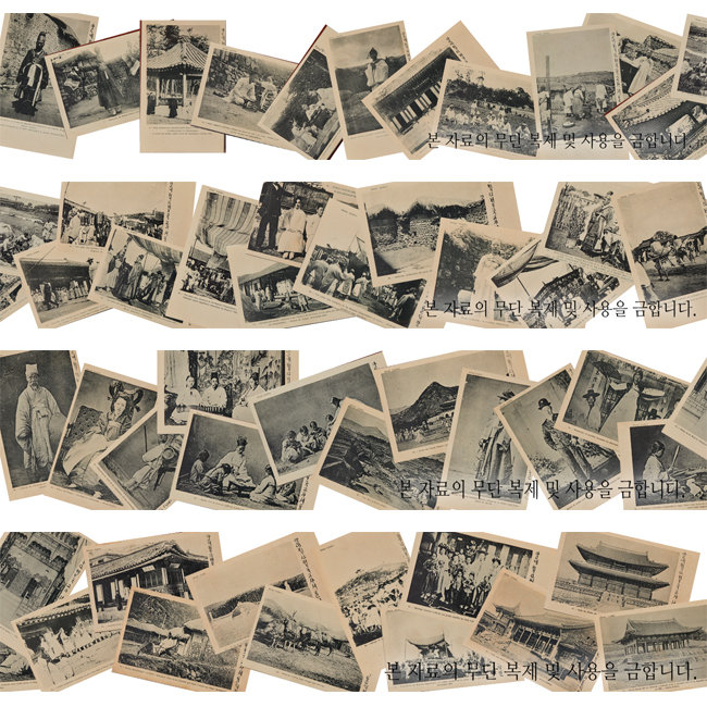 알레베크가 제작한 48장의 엽서를 순서대로 늘어놓은 사진.