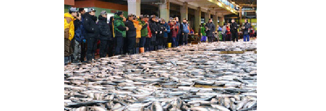 수산시장은 새벽 시간부터 생선을 싸게 구입하려는 도·소매상들로 인산인해를 이룬다. 사진은 2021년 1월 부산 서구 부산공동어시장에서 고등어 경매가 진행되는 모습. [동아DB]