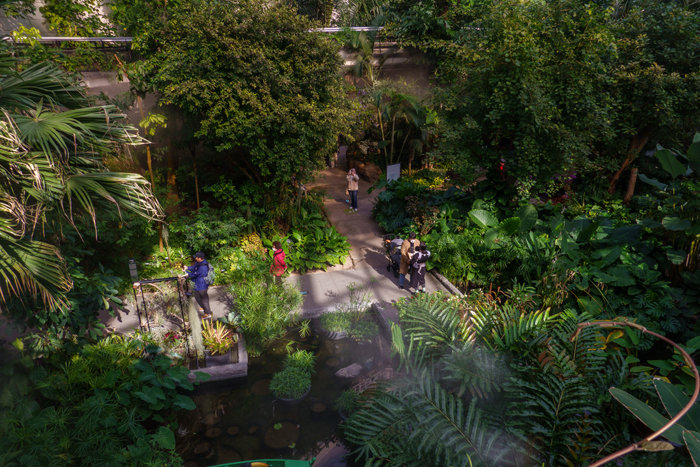 오목한 접시모양의 서울식물원의 온실은 세계 유일한 곳으로 열대와 지중해 식물들이 자라고 있다.