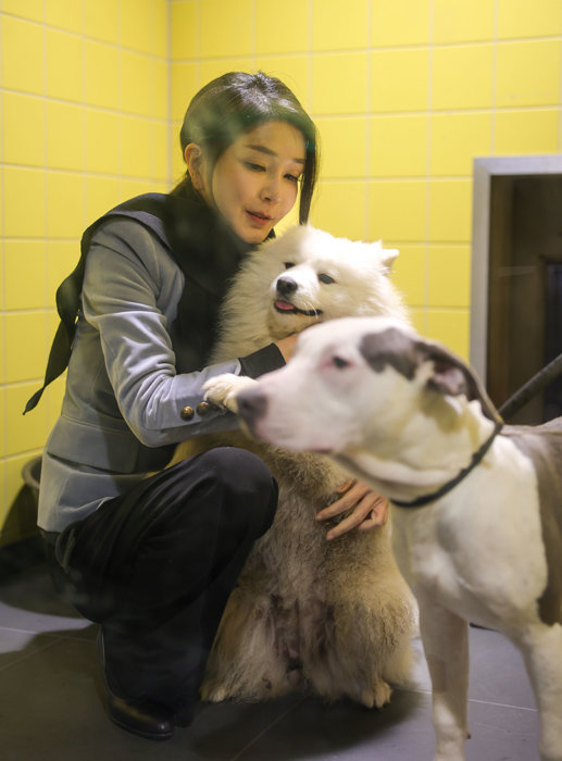 지난해 12월 12일 네덜란드 암스테르담 동물보호재단에서 김건희 여사가 보호 받고 있는 강아지를 쓰다듬고 있다. [뉴스1] 