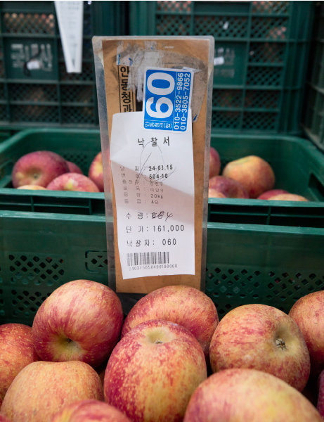 3월 26일 경북 안동시 안동 농수산물도매시장 경매에서 낙찰된 사과가 놓여있다. 낙찰가격은 16만1000원(20kg)이다. [박해윤 기자]