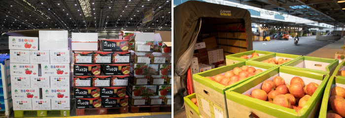 4월 4일 서울 강서구 강서농산물도매시장에 사과 상자가 쌓여 있다. [지호영 기자]