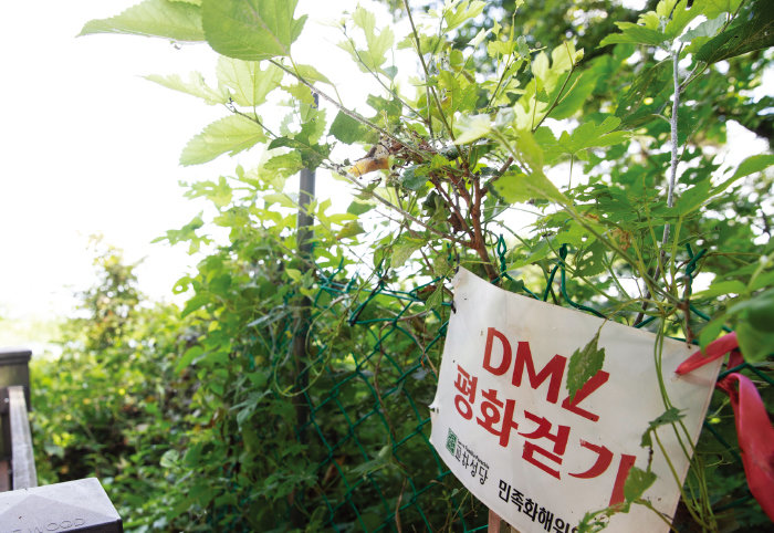 분단의 상징인 DMZ에서 ‘평화’를 염원하는 걷기 행사가 치러지기도 했다. 