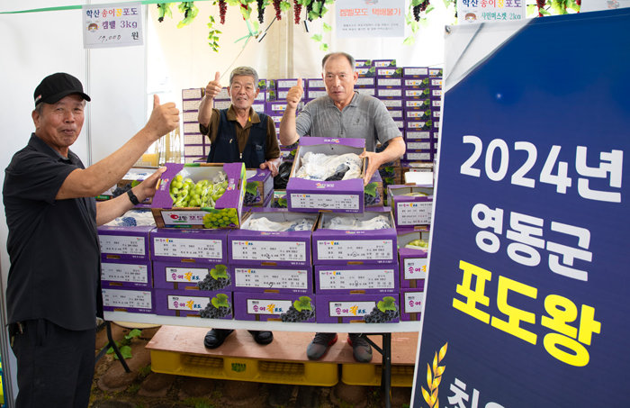 올해의 최고 포도왕에 선정된 농가