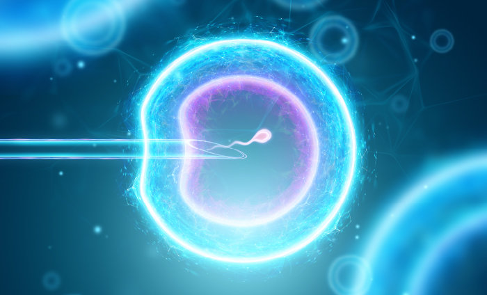 시험관아기시술(IVF)에 건강보험 급여 혜택이 적용된 후 난임 환자의 시술 이용 빈도가 꾸준히 늘고 있다. [Gettyimage]