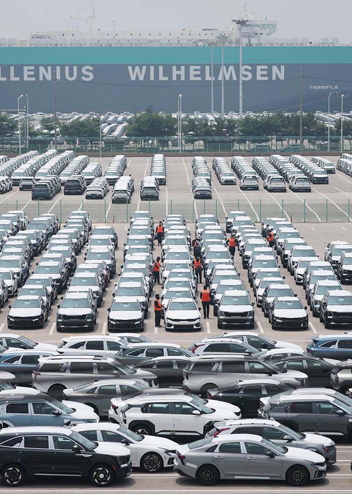 경기 평택항에 수출용 차량들이 세워져 있다. 뉴스1