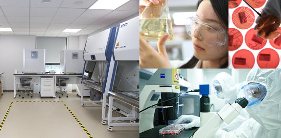 백신혁신센터는 가까운 미래에 지금보다 한층 고도화된 백신 플랫폼을 마련해 팬데믹 발생 시 신속한 백신 개발에 착수하는 것을 목표로 한다. 사진은 연구자들 모습. 고려대의료원