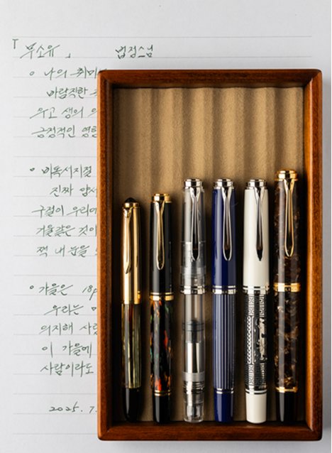 펠리칸의 만년필로 ‘빈티지 500NN’부터 ‘M1000 르네상스 브라운’까지 종류가 다양하다. 숫자가 높을수록 펜과 촉의 크기가 커진다. 