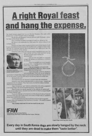 1989년 11월 노태우 대통령의 영국 방문을 앞두고 세계적인 동물보호단체인 IFWA가 영국 더 타임스에 낸 신문광고. ‘왕실의 진수성찬, 비용은 아랑곳하지 말라(A right Royal feast and hang the expense)’라는 헤드라인을 달고 “국빈 만찬 메뉴는 한국에서 수입한 ‘특별한 개고기’가 포함된다. 이 개들은 한국에서 목에 줄이 걸려 질식사하도록 매달린다. 그렇게 해야 고기가 더 맛있어진다고 믿기 때문”이라며 한국의 보신탕 문화를 맹비난하고 있다. 삼성전자