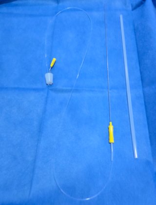 이경호 마마파파&베이비산부인과의원 원장이 난자를 채취할 때 사용하는 바늘.