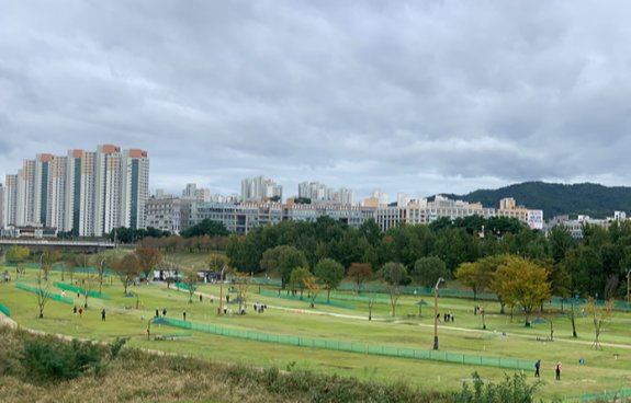세종시민들이 수변에 조성된 파크골프장에서 파크골프를 즐기고 있다. 구자홍 기자