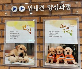 경기 용인에 위치한 삼성화재 안내견학교에 걸린 게시판. 용인=허문명 기자