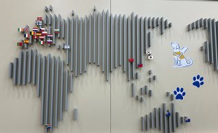 안내견학교가 있는 나라들을 세계지도에 표시해 놓았다. 주로 선진국들이다. 용인=허문명 기자