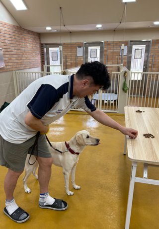 먹을 것을 보고도 달려들지 않도록 하는 클리커 교육을 하는 모습. 용인=허문명 기자