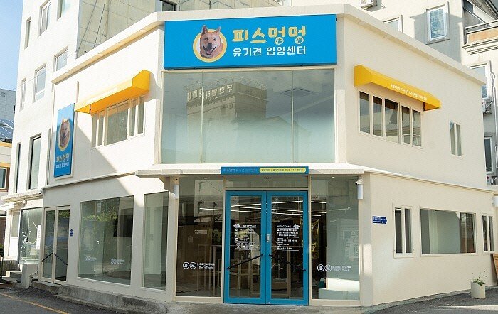 7월 30일 광주광역시 동구에 문 연 유기견 입양센터. 동구청은 ‘위기브’와 협력해 도심형 유기견 보호센터 설립 캠페인을 진행, 시민 참여를 확대하며 ‘유기견 안락사 제로(0)’에 도전하고 있다. 광주광역시 동구청