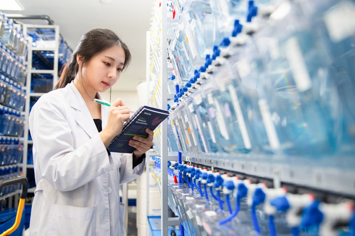 고려대안산병원 제브라피쉬 중개의학연구소. 고려대안산병원