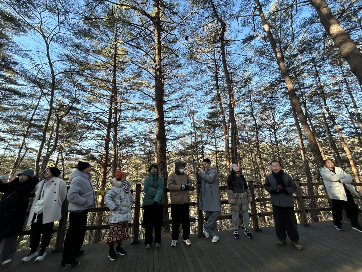 2025년 12월 31일 오전 울진 지관서가 북 캠프 참가자들이 숲 트레킹을 하고 있다. 울진=허문명 기자