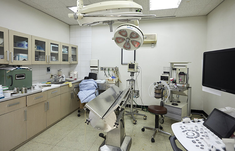 삼성화재 안내견학교 안에는 훈련견·안내견·은퇴견이 관리 및 치료를 받을 수 있는 동물병원이 있다. 삼성화재