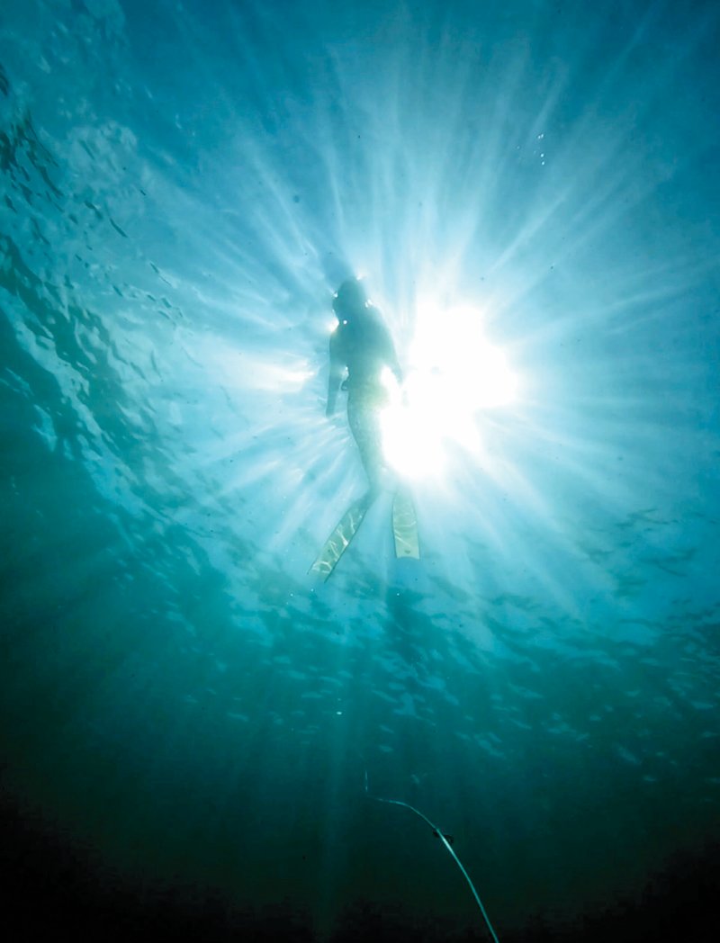 몽환적 느낌을 주는 프리다이버의 모습.