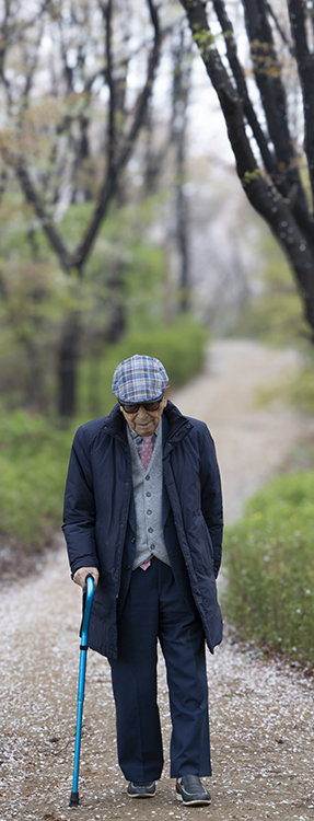 김형석 교수가 '철학자의 길'을 걷고 있다. 박해윤 기자