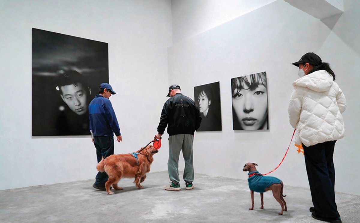 경기사진센터는 수요일마다 반려견과 동반 전시 관람을 허용하고 있다.