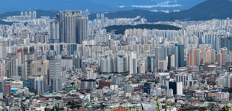 아이 넷 30대 직장인이 겪은 부동산 정책의 현실... 반시장 규제의 그늘