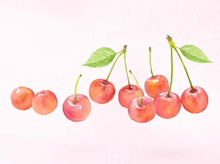 [시마당] 체리 - 뉴스 썸네일 이미지