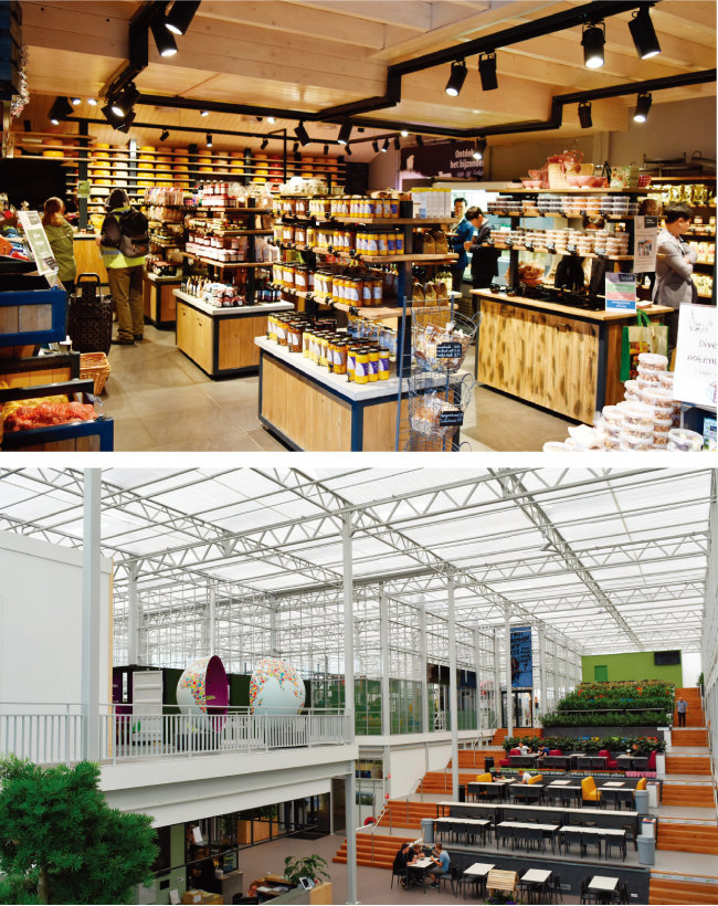 푸르메에코팜 내부에는 수확 작물을 판매하는 상점(위쪽)과 발달장애인을 위한 휴식공간이 마련될 예정이다. 사진은 네덜란드 스마트팜 내부 모습. 