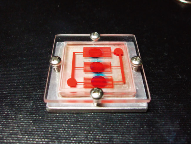 전자회로와 세포를 결합해 만든 ‘장기칩(organ-on-a-chip)’. [동아DB]