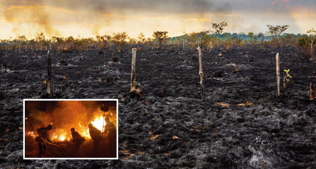 화재로 잿더미로 변한 아마존 열대우림(큰 사진)과 브라질군 병사들이 화재 진압을 하는 모습. [G1, Folhapress] 