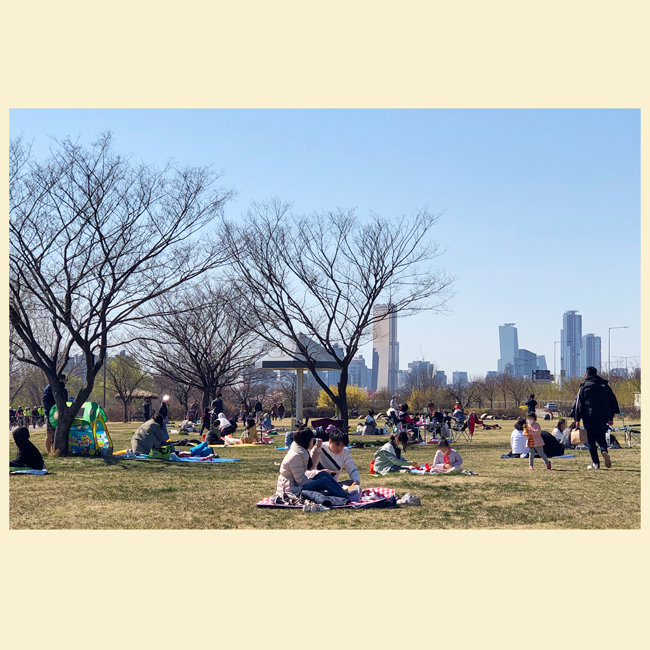 한강시민공원 이촌지구 잔디공원에는 아직 그늘막 설치가 허용되지 않아 시민들은 주로 돗자리와 캠핑용 의자를 갖다놓고 봄날 소풍을 즐겼다. 
