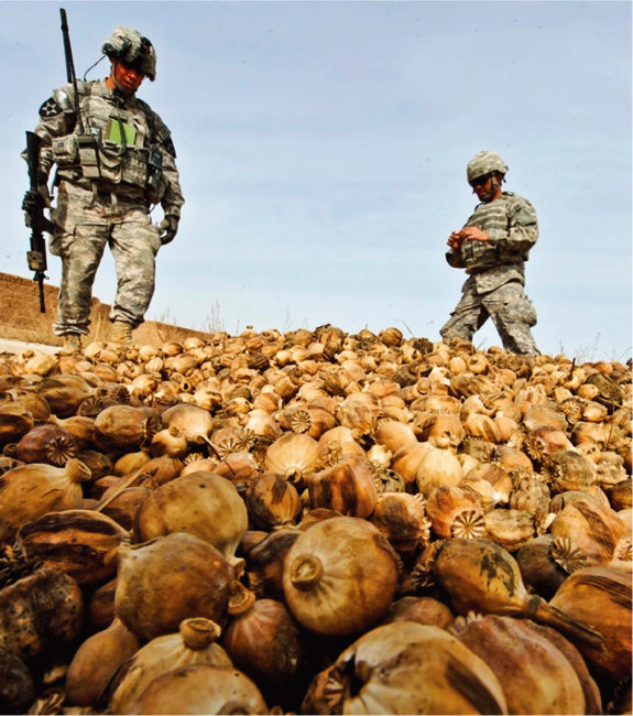 미군 병사들이 압수해온 말린 양귀비 열매를 지켜보고 있다. [US Army]