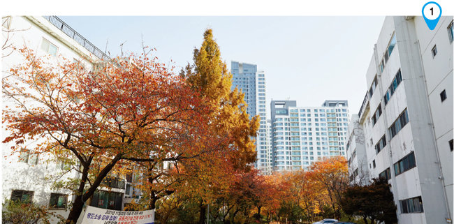 서울 서초구 반포동 반포주공1단지와 뒤로 보이는 아크로리버파크. [홍중식 기자]