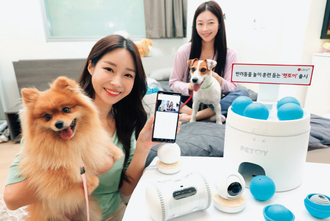 LG유플러스가 출시한 반려동물 대상 스마트홈 서비스 ‘펫토이’. [사진 제공 · LG유플러스]