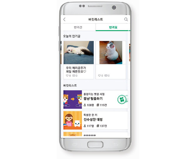 삼성카드의 반려동물 커뮤니티 애플리케이션(앱) ‘아지냥이’. [삼성카드 제공]