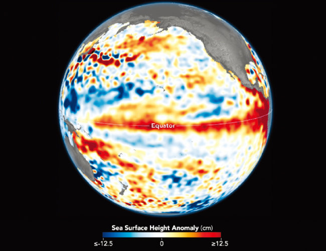 6월 미국 항공우주국(NASA) 인공위성은 중앙 및 동부 열대 태평양의 해수면 온도가 상승하며 해수면이 평균보다 12.5㎝ 이상 높아진 것을 관측했다. 태평양을 가로지르는 붉은색 줄무늬는 엘니뇨현상이 도래했음을 보여주는 지표다. [NASA 제공]