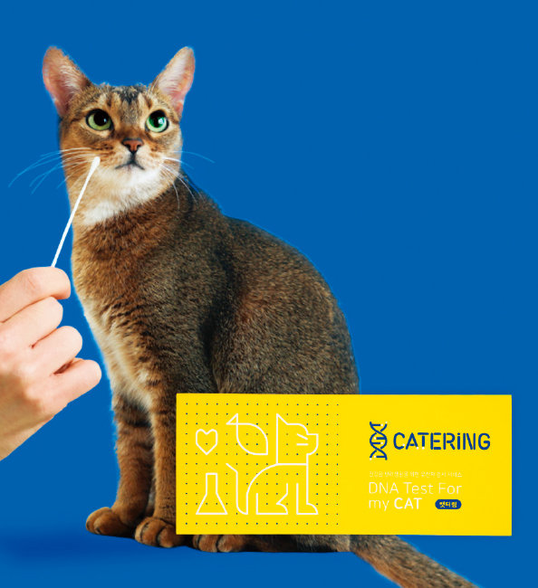피터페터는 고양이 유전자를 분석해볼 수 있는 홈케어 서비스 ‘캣터링’을 운영하고 있다. [피터페터 제공]