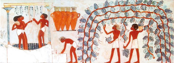 투트모세 4세의 천문관 나크트 묘 벽화에 와인 양조 공정이 자세히 묘사돼 있다. [위키피디아]