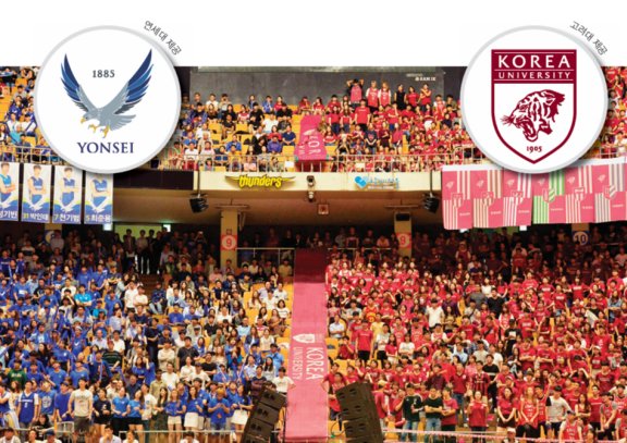 연세대와 고려대는 각각 독수리와 호랑이를 상징물로 두고 있다.