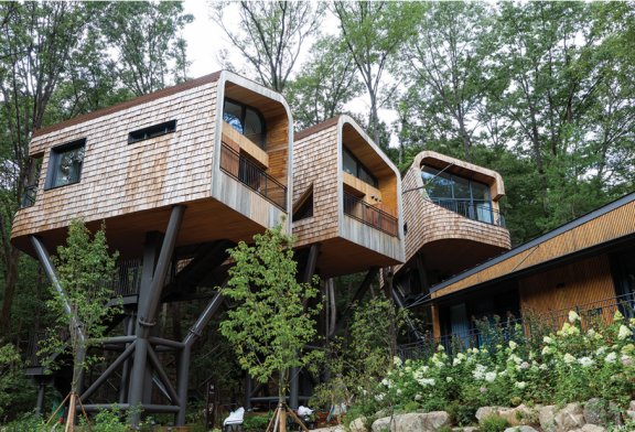 트리하우스는 총 3채이며, 노르웨이 피오르 해안의 트리하우스를 참고해 만들었다. 조영철 기자