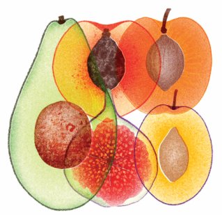 여름 감성을 담아 Z세대 사이에서 화제가 된 작품. 인스타그램 @sarahmaffeis 계정 캡처