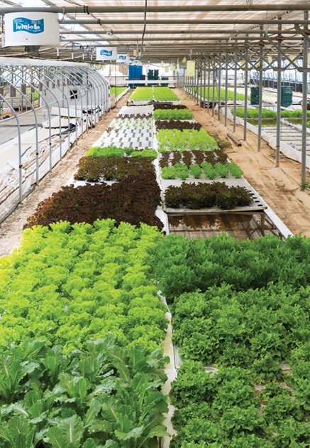 경남 사천에 있는 정해용-임아람 부부의 농장 ‘그로운’. 박해윤 기자